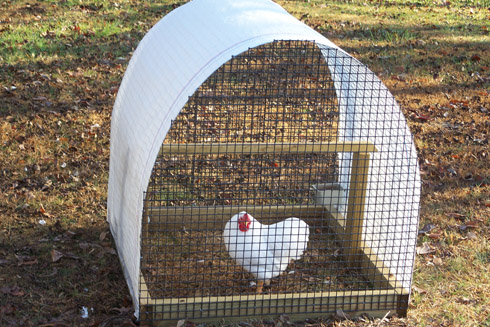 Ashbrook range shelter